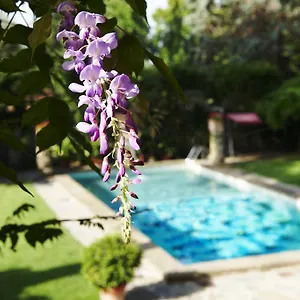Park Palace Hotel Florencja